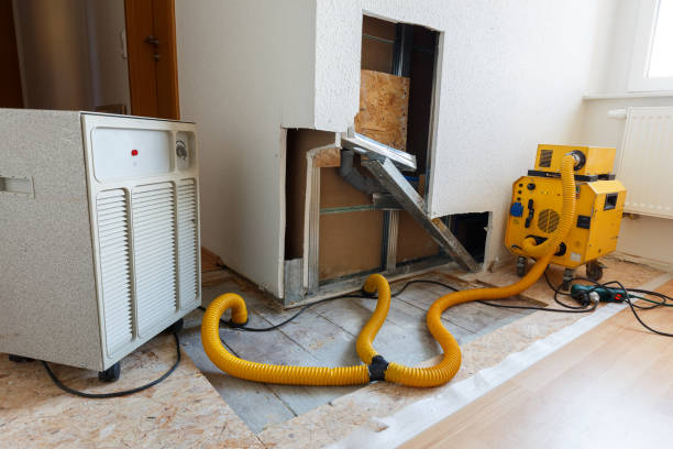 Best Mold Prevention Services  in Rockville, IN