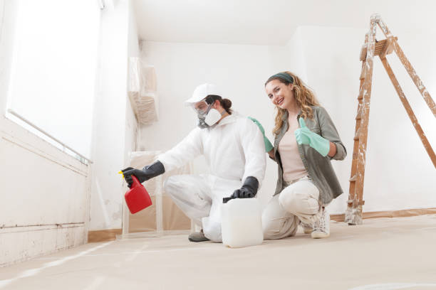 Best Post-Remediation Verification Testing  in Rockville, IN